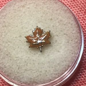 3/$10 Origami Owl Maple Leaf Charm